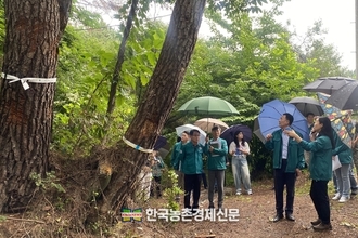 <속보>대전에서 ‘소나무재선충병’ 발생!