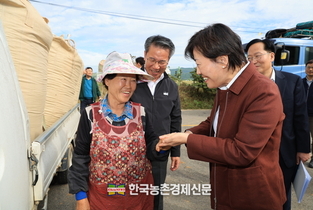 쌀 20만톤 시장격리...수확기 산지쌀값 잡아라!