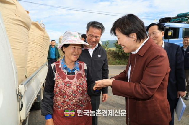 쌀 20만톤 시장격리...수확기 산지쌀값 잡아라!