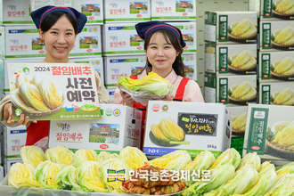 ‘HACCP 인증 절임 배추’ 사전 예약!