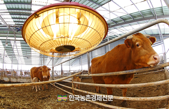 한우협회 긴급성명 "美 소고기 추가 허용 안돼!"